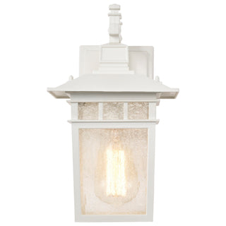 Cove Neck One Light Wall Lantern in White