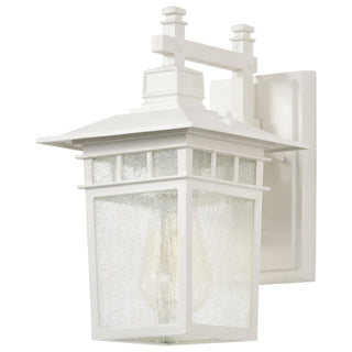 Cove Neck One Light Wall Lantern in White