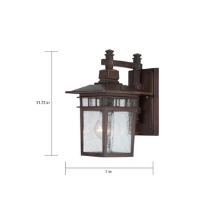 Cove Neck One Light Wall Lantern in Rustic Bronze