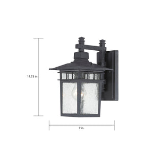 Cove Neck One Light Wall Lantern in Textured Black