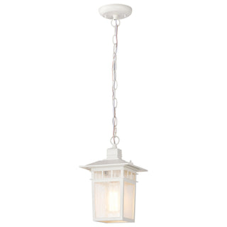 Cove Neck One Light Hanging Lantern in White