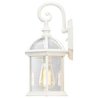 Boxwood One Light Wall Lantern in White