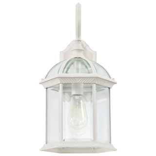 Boxwood One Light Wall Lantern in White