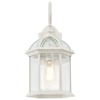 Boxwood One Light Wall Lantern in White