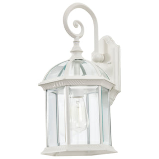 Boxwood One Light Wall Lantern in White