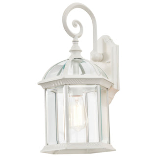 Boxwood One Light Wall Lantern in White