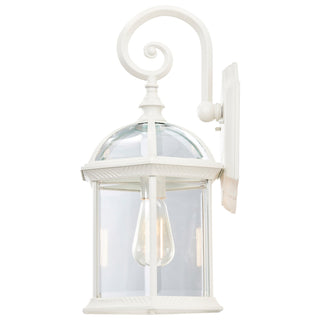 Boxwood One Light Wall Lantern in White