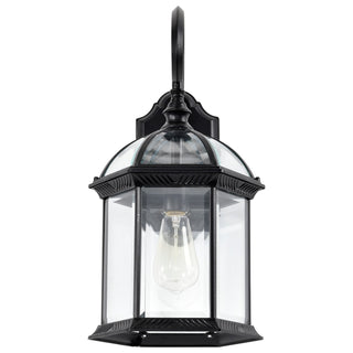 Boxwood One Light Wall Lantern in Textured Black