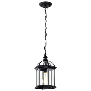 Boxwood One Light Hanging Lantern in Textured Black