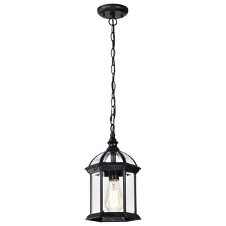Boxwood One Light Hanging Lantern in Textured Black