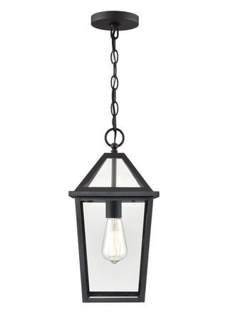 Eston 1-Light Outdoor Hanging Lantern Textured Black