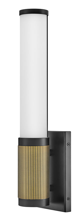 Zevi Medium LED Sconce in Black