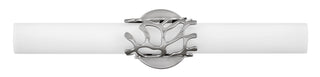Lyra Medium LED Vanity in Brushed Nickel