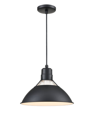 R Series 1-Light Cord Hung Glass Cone Satin Black