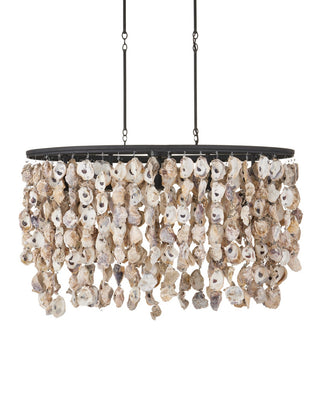 Oyster Shell Five Light Chandelier in Natural/Blacksmith