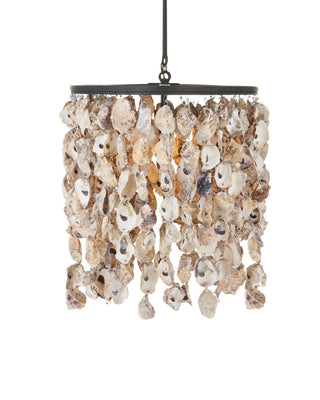 Oyster Shell Five Light Chandelier in Natural/Blacksmith