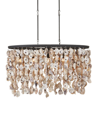 Currey and Company - 9492 - Five Light Chandelier - Oyster Shell - Natural/Blacksmith