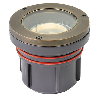 Well Light Hardy Island LumaCORE 120V in Matte Bronze