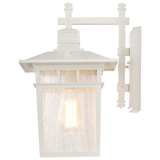 Cove Neck One Light Wall Lantern in White / Clear Seeded