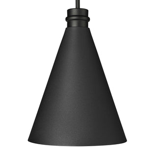 Axston 1-Light Outdoor Hanging Lantern Textured Black