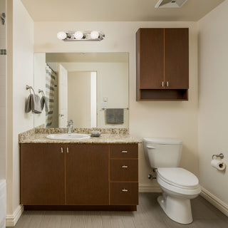 3 LT 18" RACETRACK VANITY