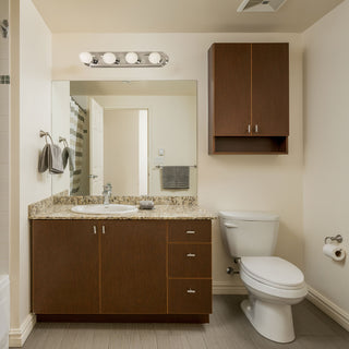 4 LT 24" RACETRACK VANITY