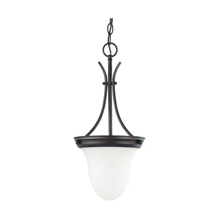 1 LIGHT 10" PENDANT