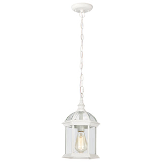 BOXWOOD 1 LGT OUTDOOR HANGING