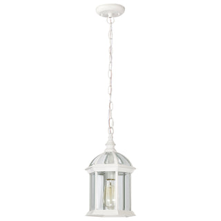 BOXWOOD 1 LGT OUTDOOR HANGING