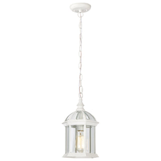 BOXWOOD 1 LGT OUTDOOR HANGING