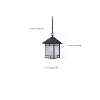 DREXEL 1 LT OUTDOOR HANGING
