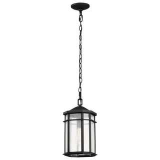RAIDEN 1LT OUTDOOR HANGING