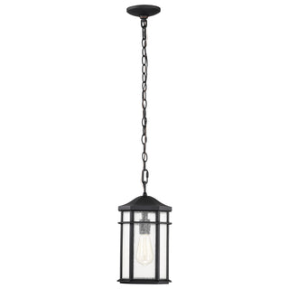 RAIDEN 1LT OUTDOOR HANGING