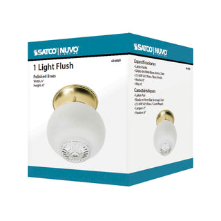 1 LIGHT 6" BALL FIXTURE