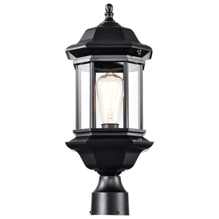 HOPKINS 1LT OUTDOOR LG POST