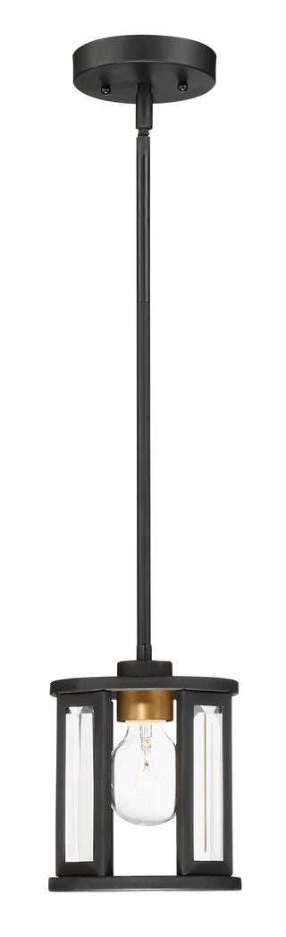 PAYNE 1 LIGHT MINI PENDANT