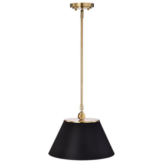 DOVER 1 LIGHT MEDIUM PENDANT