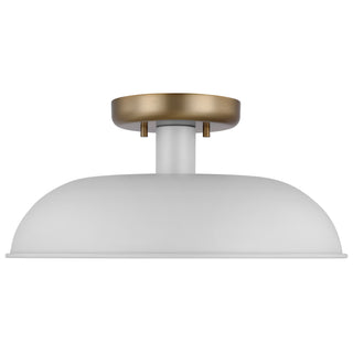 COLONY 1 LIGHT SMALL FLUSH