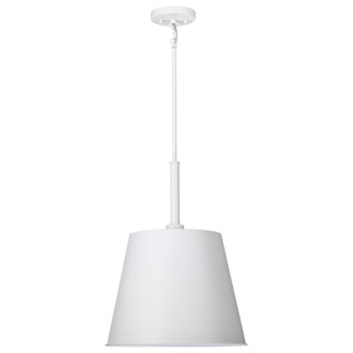 ALEXIS 1LT LG PENDANT