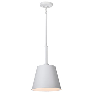 ALEXIS 1LT SM PENDANT