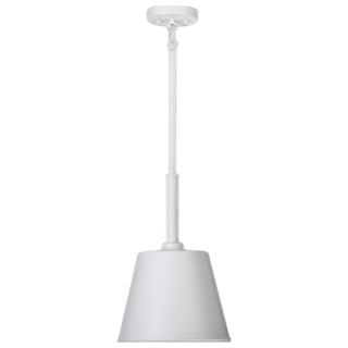 ALEXIS 1LT SM PENDANT