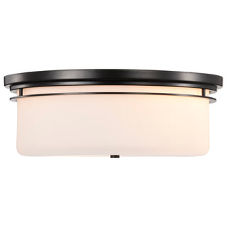 WARREN 15" FLUSH MOUNT