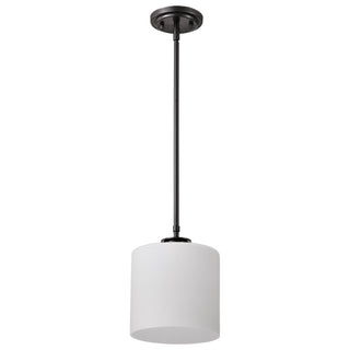 WARREN 8" PENDANT