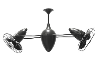 Ar Ruthiane Ceiling Fan in Matte Black