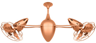 Ar Ruthiane Ceiling Fan in Brushed Copper