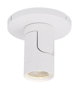 12W LED BARREL MONOPOINT