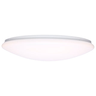19" LED CLOUD FIXTURE W/SENSOR