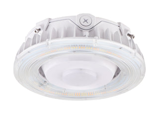 25W LED CANOPY LIGHT