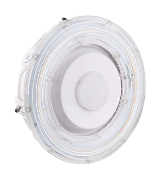 25W LED CANOPY LIGHT