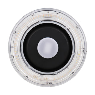 25W LED CANOPY LIGHT